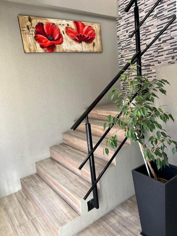 Apart Trelew 5 Bagian luar foto